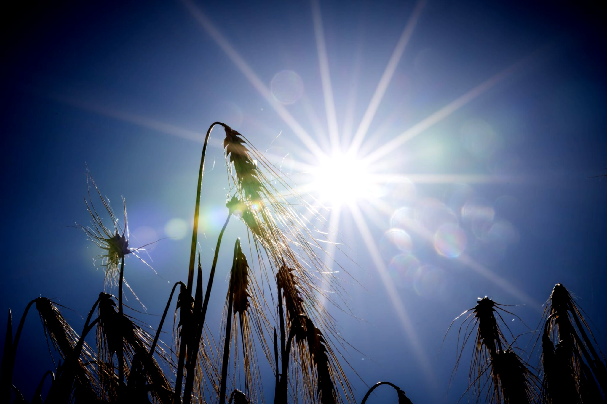 Strahlender Dienstag: Viel Sonne in Berlin und Brandenburg